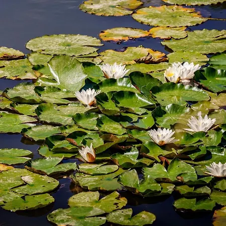 Bauernhof Biologico Autosufficienza Bagno di Romagna
