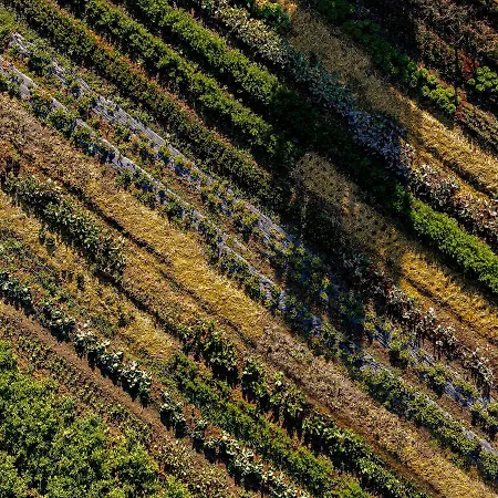 Bauernhof Biologico Autosufficienza