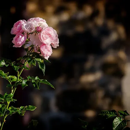 La Fattoria Dell'autosufficienza *