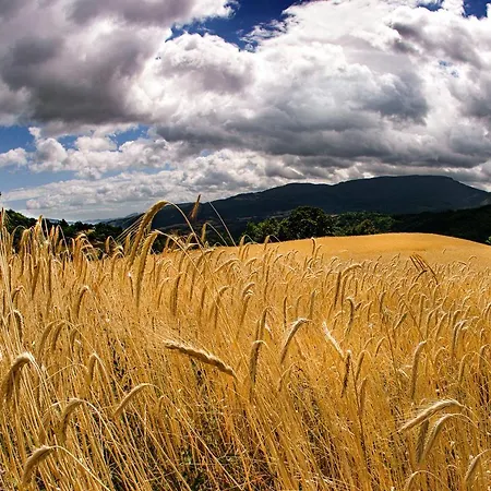 Biologico Autosufficienza Farm stay *