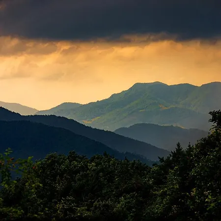 Biologico Autosufficienza 农家乐