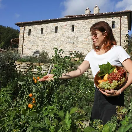Alloggio per agriturismo La Fattoria Dell'autosufficienza *