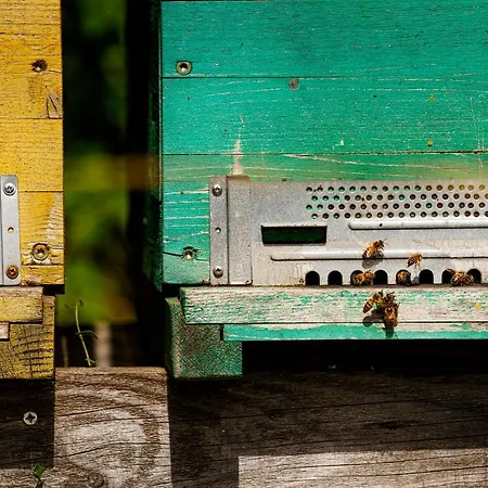 Biologico Autosufficienza 巴尼奥迪罗马涅