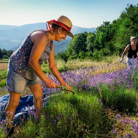 Biologico Autosufficienza 3* Bagno di Romagna