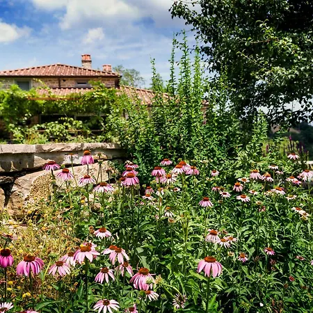 Nocleg ze śniadaniem Biologico Autosufficienza Bagno di Romagna