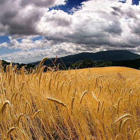 Biologico Autosufficienza Nocleg ze śniadaniem Bagno di Romagna