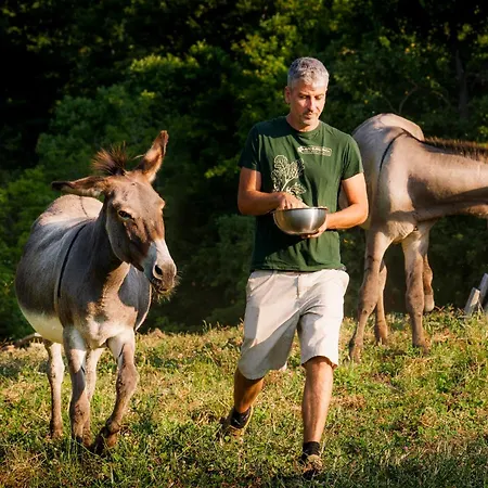 Biologico Autosufficienza Nocleg ze śniadaniem Bagno di Romagna