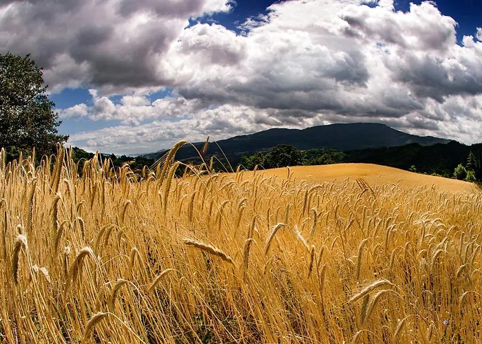 Biologico Autosufficienza Farm stay *