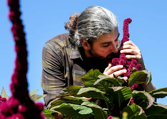 Biologico Autosufficienza * בניו די רומניה