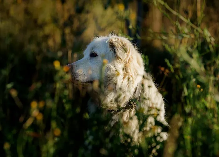 Biologico Autosufficienza Farm stay Bagno di Romagna