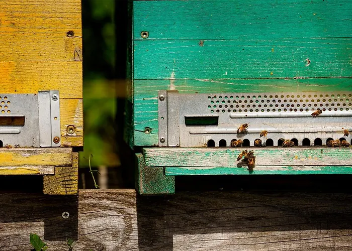 Biologico Autosufficienza Bagno di Romagna
