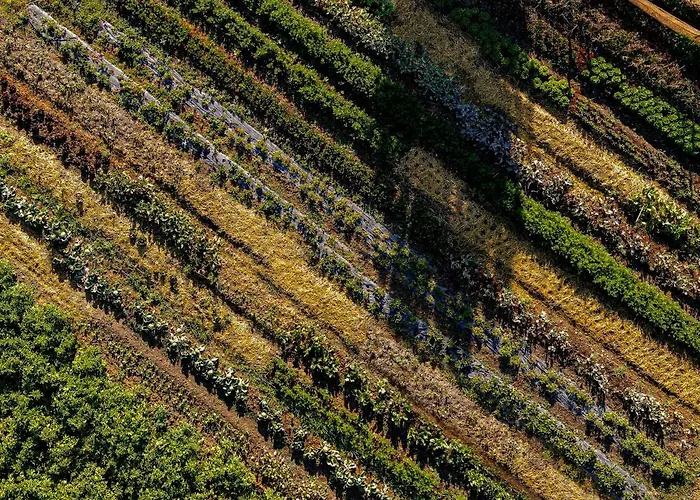 Farm stay Biologico Autosufficienza