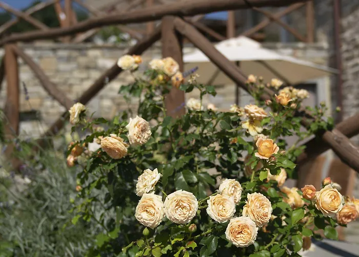 Biologico Autosufficienza *