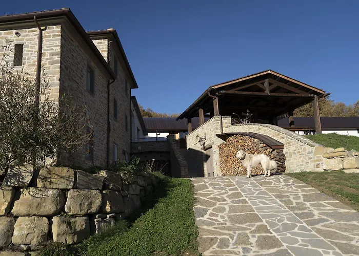 Farm stay Biologico Autosufficienza *